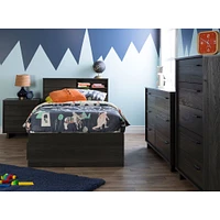Twin Bed and Headboard Set - Fynn Gray Oak