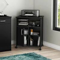 Printer Cart