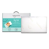 Big Kid Toddler Pillow