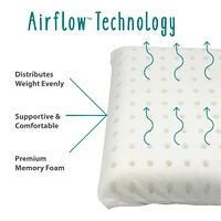 Big Kid Toddler Pillow