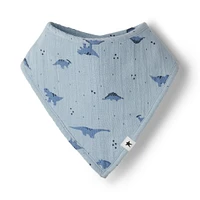 3-Pack Organic Cotton Bibs - Dinos