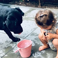 Bucket and Spade - Rust
