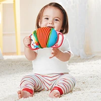 Explore and More Accordion Toy - Hedgehog