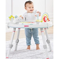 Silver Lining Cloud Baby's View Activity Center