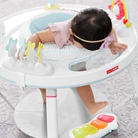 Silver Lining Cloud Baby's View Activity Center