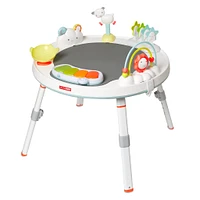Silver Lining Cloud Baby's View Activity Center