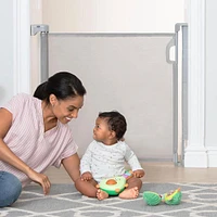 Retractable Mesh Gate