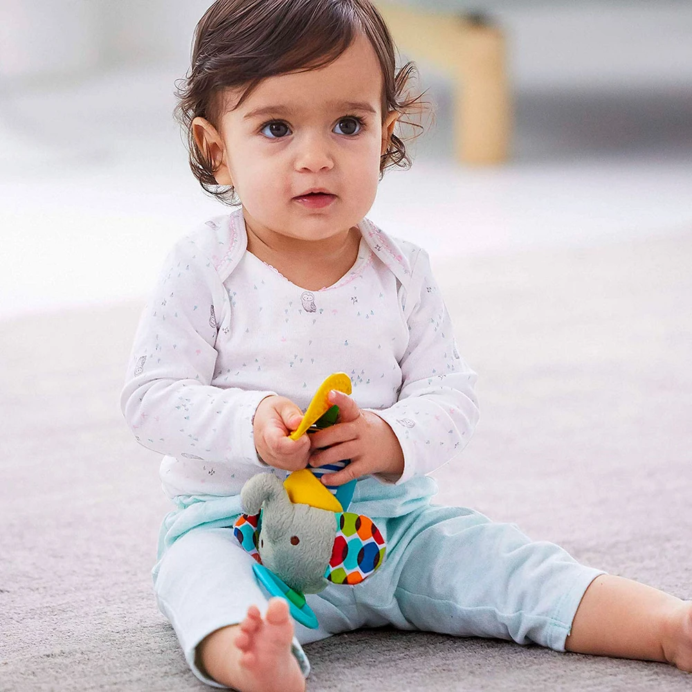 Explore and More Activity Toy