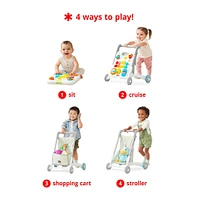 4 in 1 Activity Walker