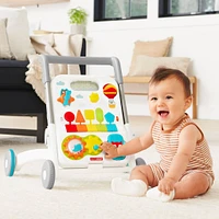 4 in 1 Activity Walker