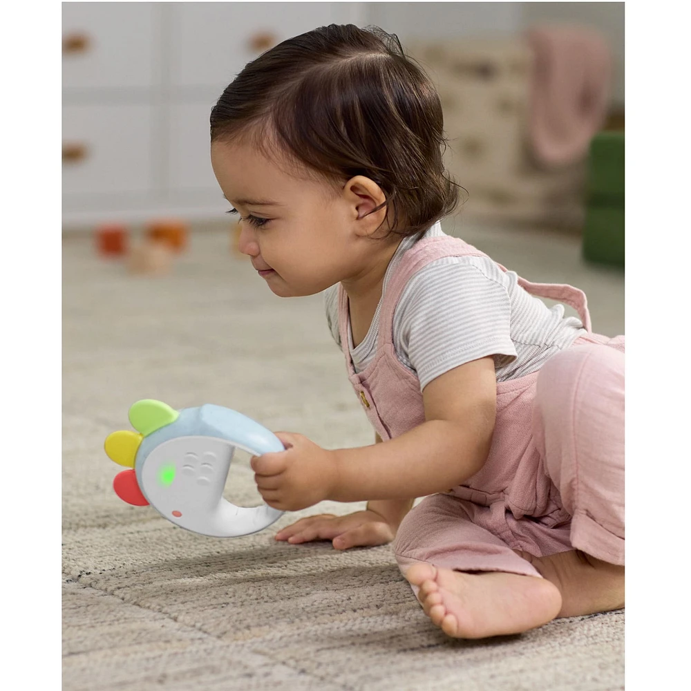 Tambour Musical Poule