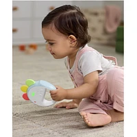 Tambour Musical Poule