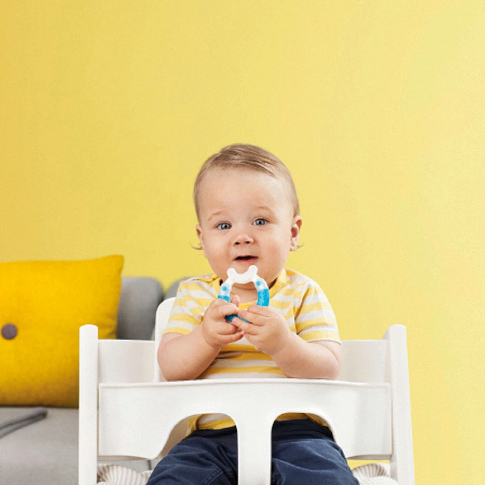 Bite And Brush Teether