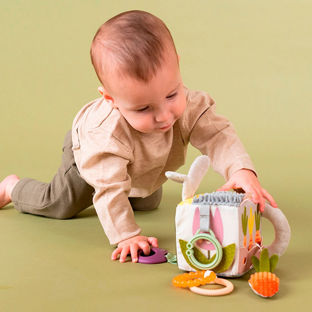 Urban Garden Activity Cube