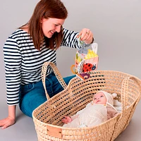 Urban Garden Activity Cube