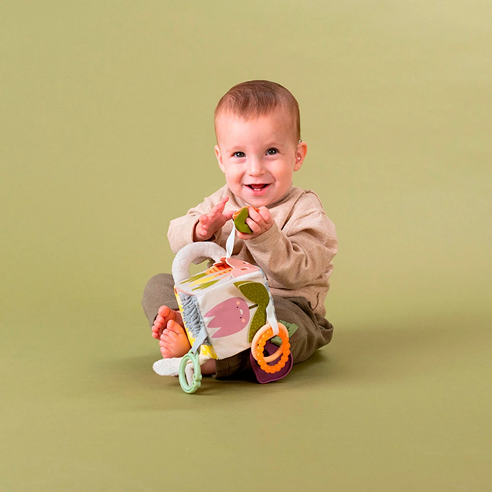 Urban Garden Activity Cube