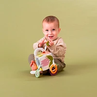 Urban Garden Activity Cube