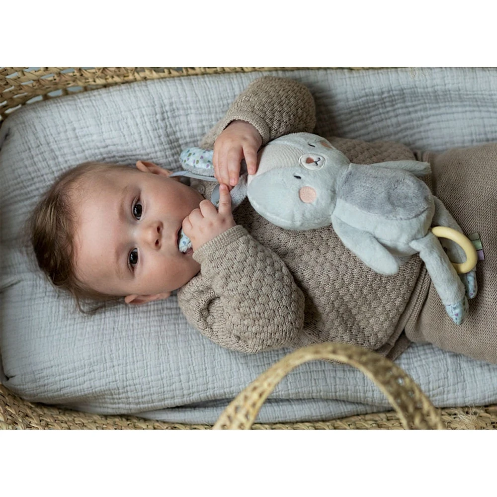 Rylee Musical Bunny Stroller Toy