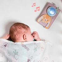 Kit Bunny Soother & Swaddle