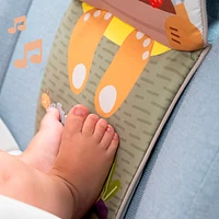 Bunny Play & Kick Car Toy