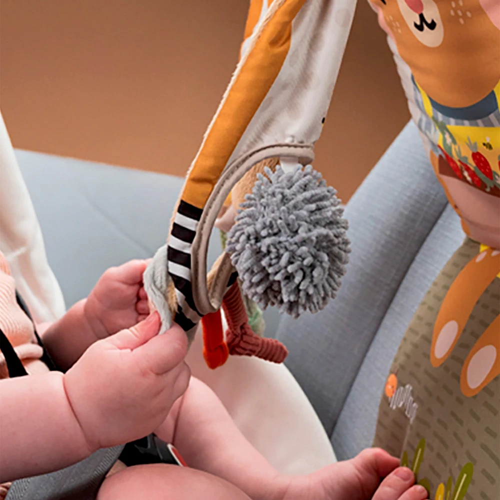 Bunny Play & Kick Car Toy