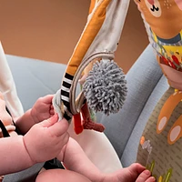 Bunny Play & Kick Car Toy