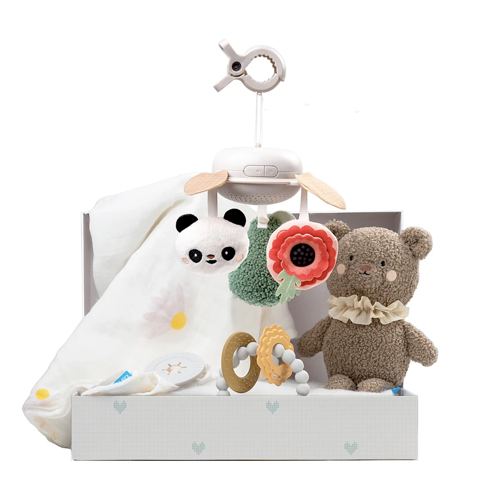 Luxury Newborn Kit