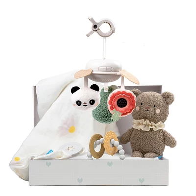 Luxury Newborn Kit