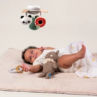 Luxury Newborn Kit