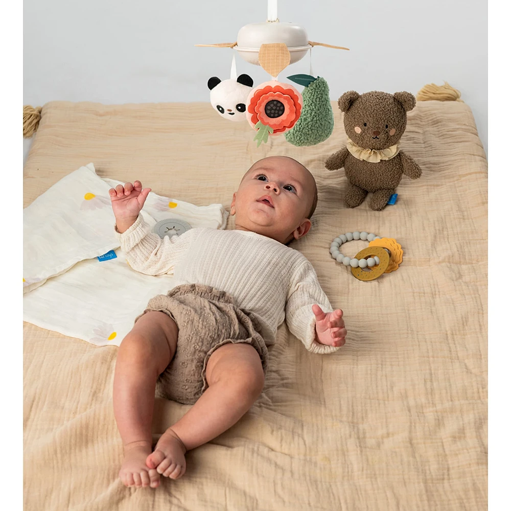Luxury Newborn Kit