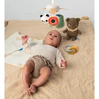 Luxury Newborn Kit