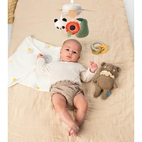Luxury Newborn Kit