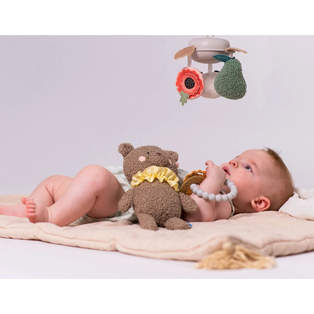 Luxury Newborn Kit