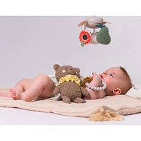 Luxury Newborn Kit