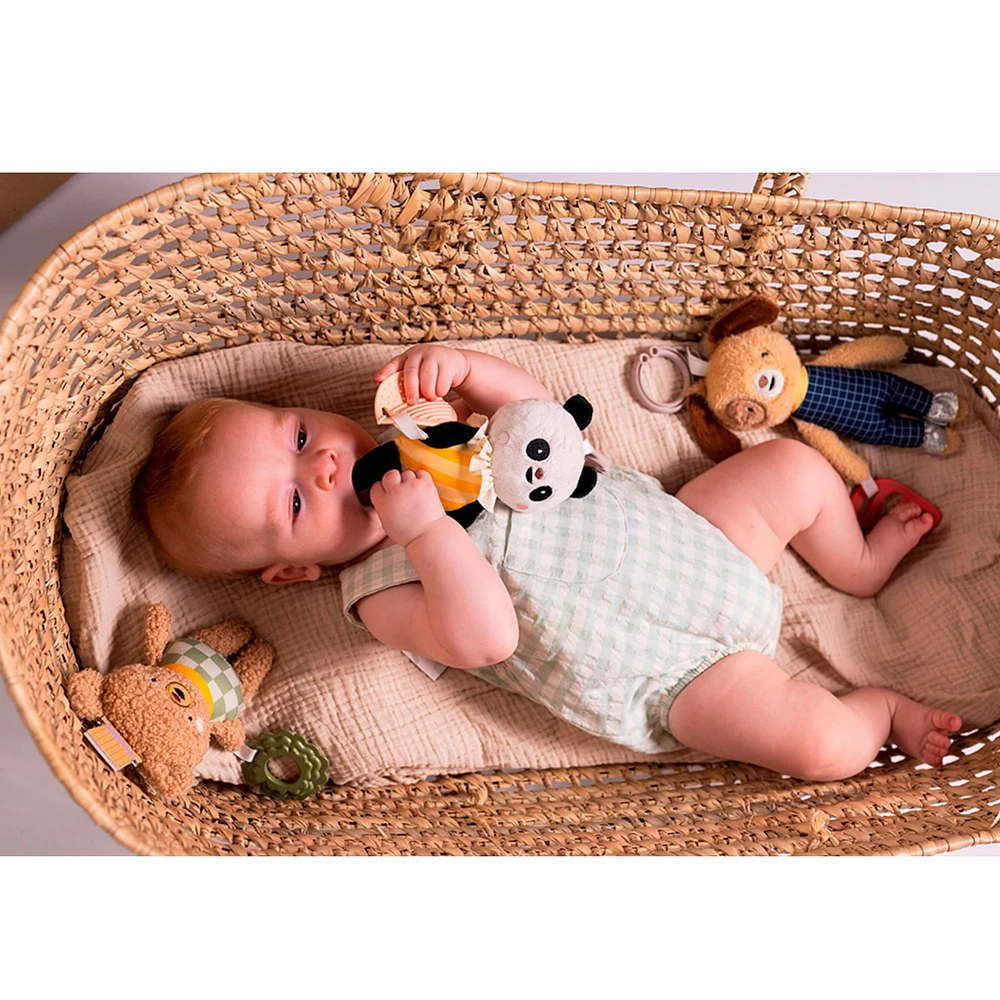Daniel Activity Toy