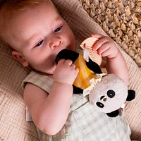 Pamela Activity Toy