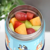 Contenant Thermos 290ml