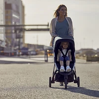 Thule Spring Stroller - Aluminum / Shadow Grey 