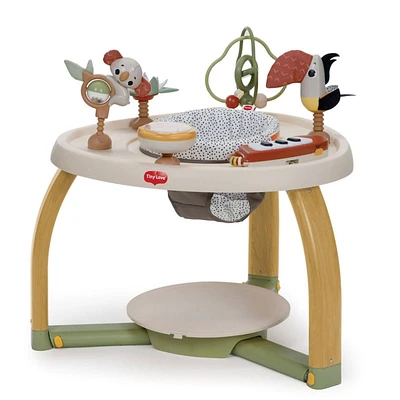 5-in-1 Here I Grow Stationary Activity Center - Boho Chic