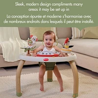 5-in-1 Here I Grow Stationary Activity Center - Boho Chic