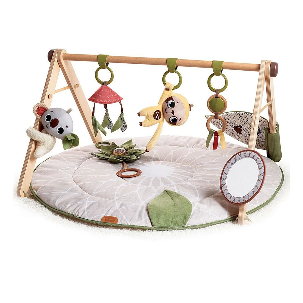 Boho Chic Luxe Developmental Gymini
