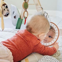 Boho Chic Luxe Developmental Gymini
