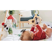 Boho Chic Luxe Developmental Gymini