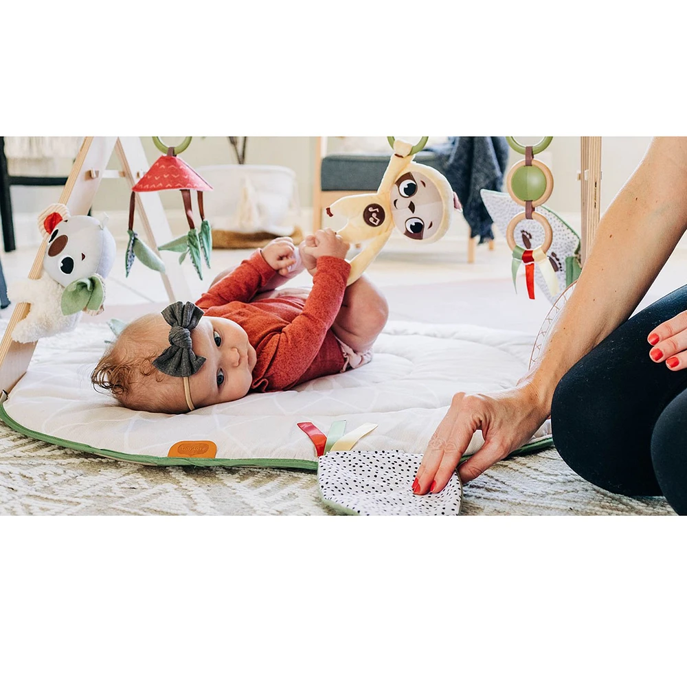 Boho Chic Luxe Developmental Gymini