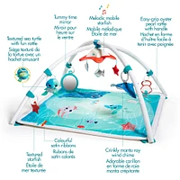 Treasure the Ocean™ 2-in-1 Musical Mobile Gymini