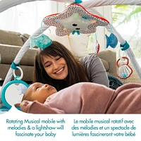 Treasure the Ocean™ 2-in-1 Musical Mobile Gymini