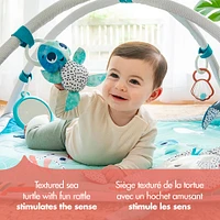 Treasure the Ocean™ 2-in-1 Musical Mobile Gymini