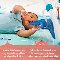 Treasure the Ocean™ 2-in-1 Musical Mobile Gymini