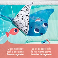 Treasure the Ocean™ 2-in-1 Musical Mobile Gymini