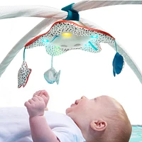 Treasure the Ocean™ 2-in-1 Musical Mobile Gymini